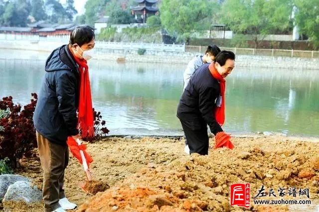 跨越两千多公里，两棵“左公柳”回湘