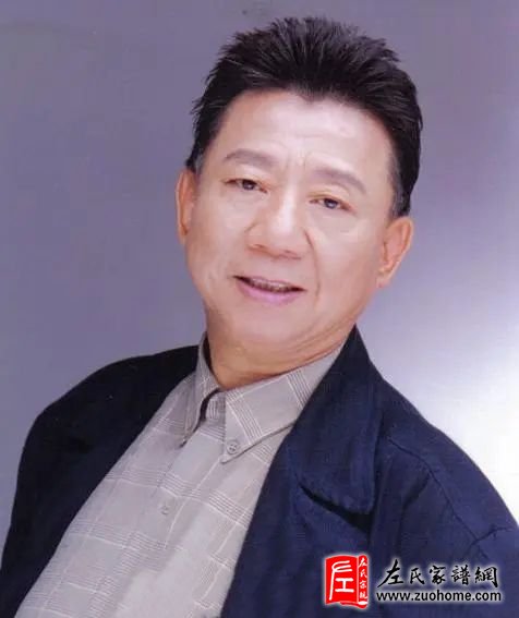 左宏元