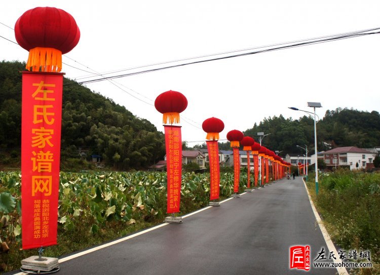 实际图片
