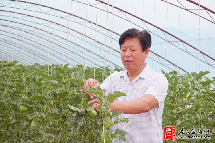 左子团
